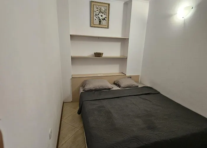 Palazzo Family Sunny