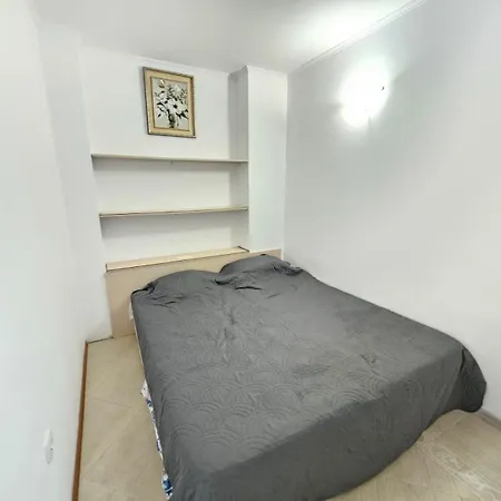 Palazzo Family Sunny סאני ביץ'